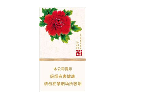 滨州进口香烟专卖店